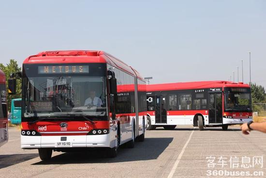 1772098984305500.jpg 2.jpg