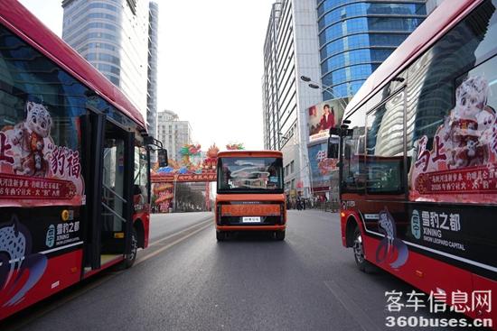 1772243325151856.jpg 9.jpg